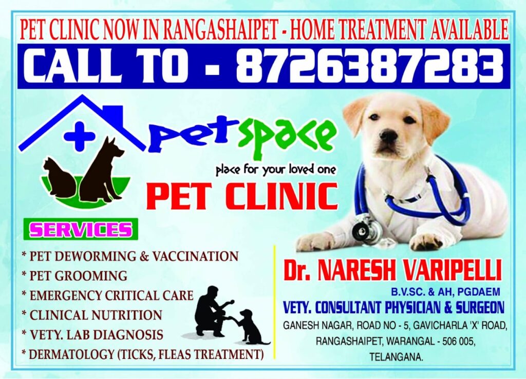 PET SPACE PET CLINIC
