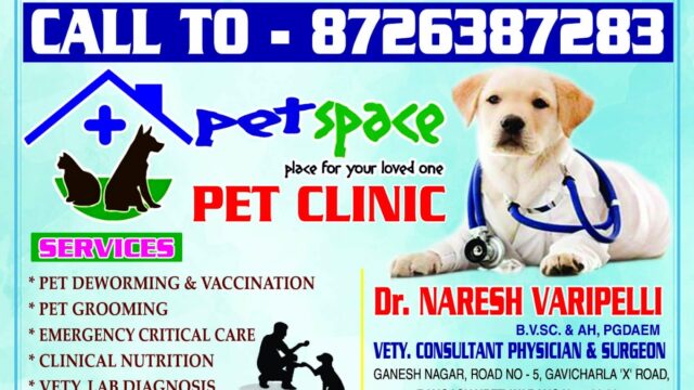 PET SPACE PET CLINIC