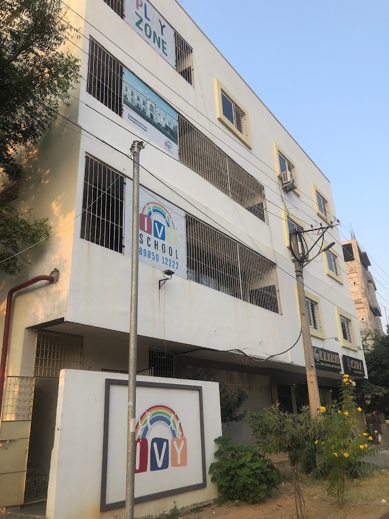 ivy international school