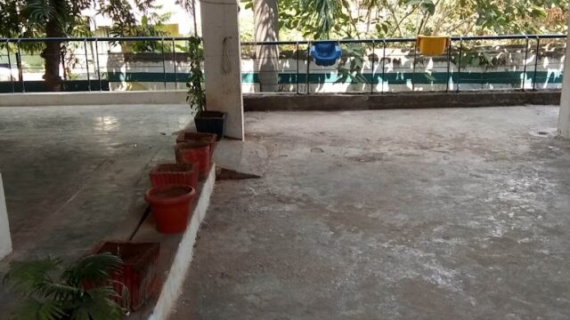 Sai Public School