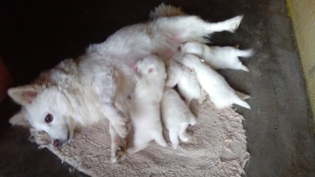 unnamed (6)