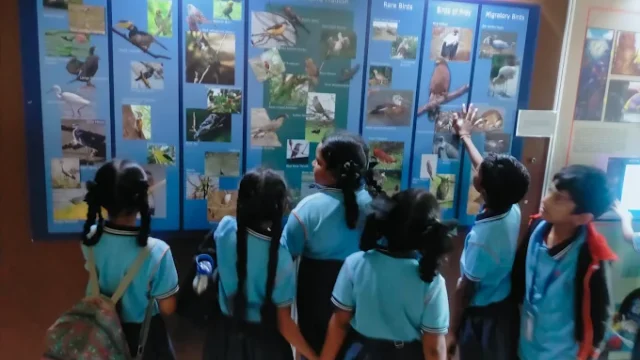 SR Digi School